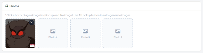 Inventory Image place