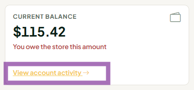 view account activity